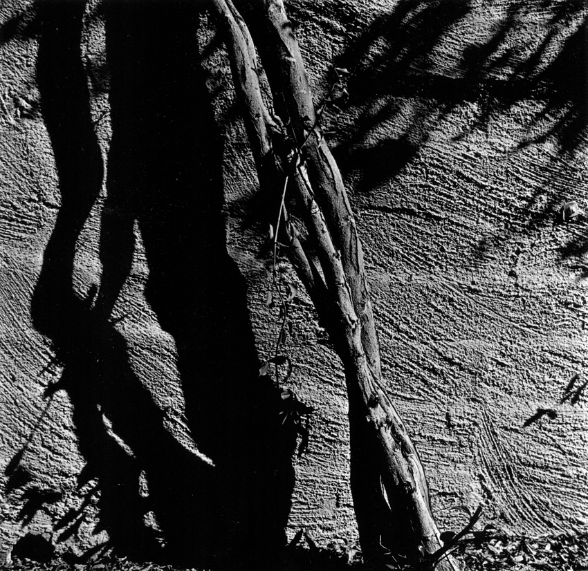 Tucana Shadows 2