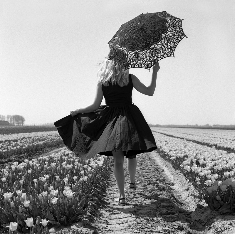 Tulips for bulbs 1