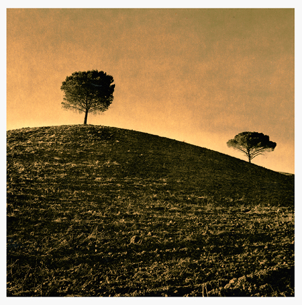 TUSCANY II