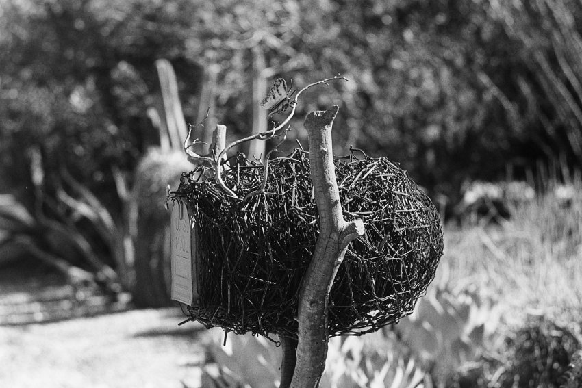 Twig Mail w/ butterfly