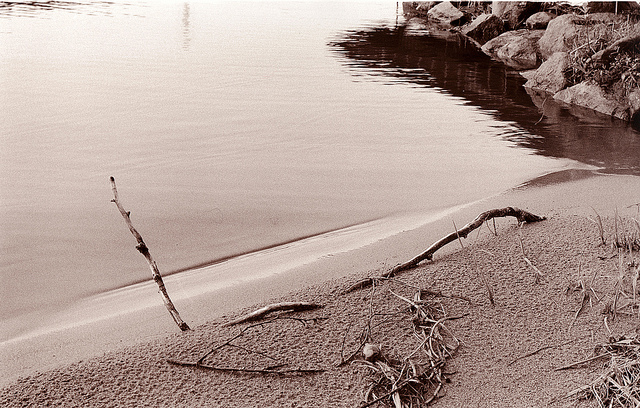 Twig