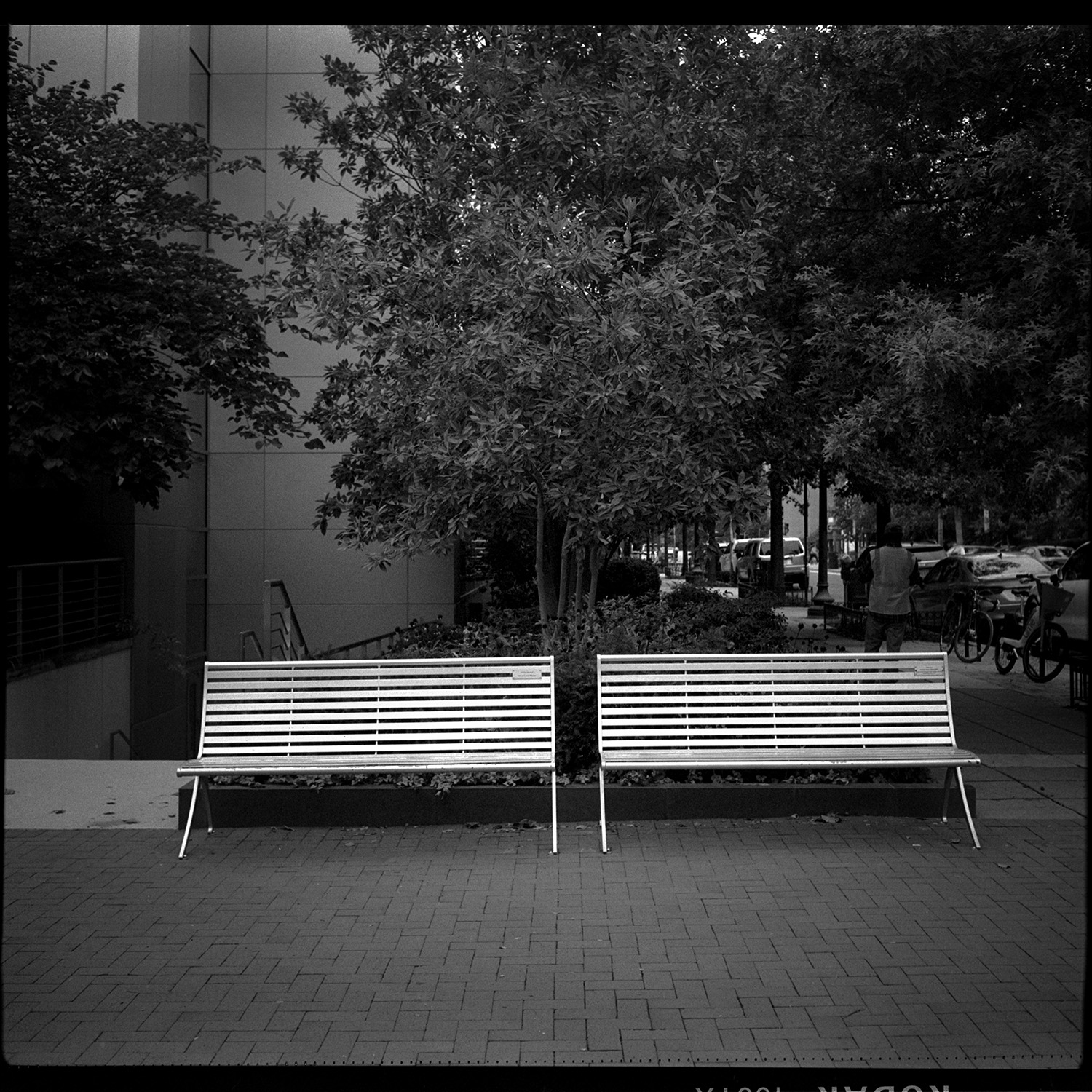 Twin Benches