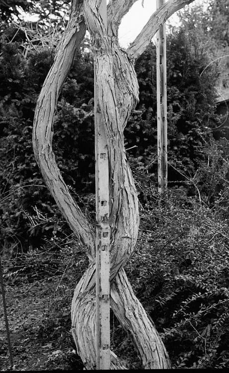 Twisted