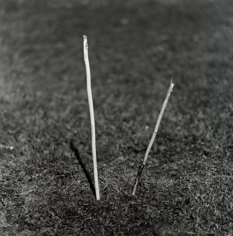 Two sticks
