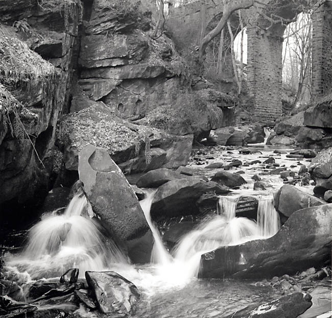 Two weeks in. 2nd picture out.