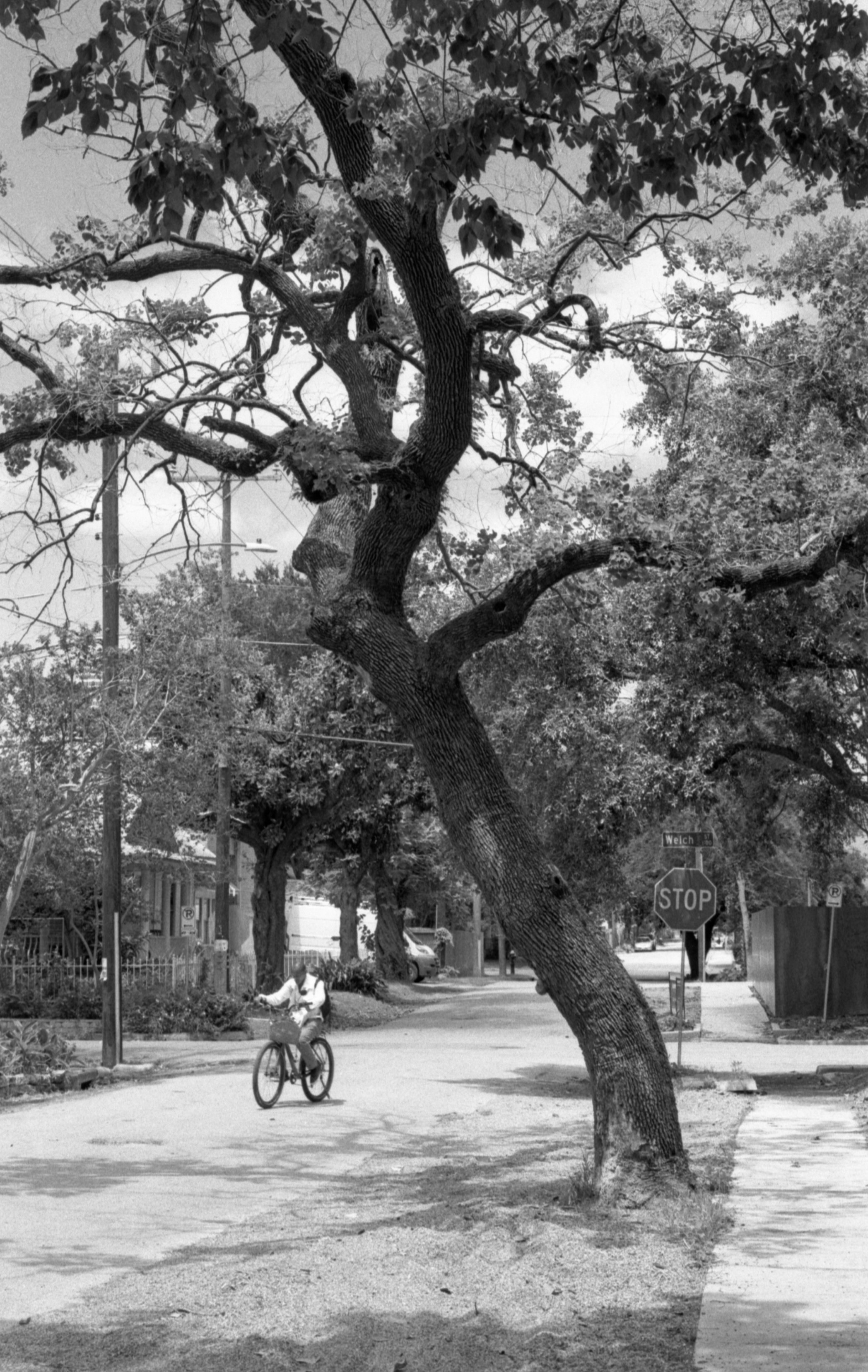 Two Wheel Transportation