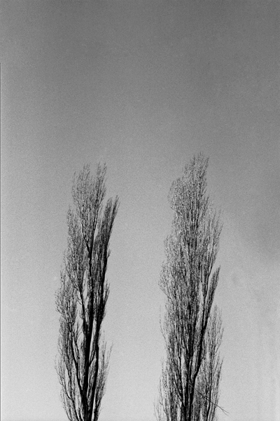 Two