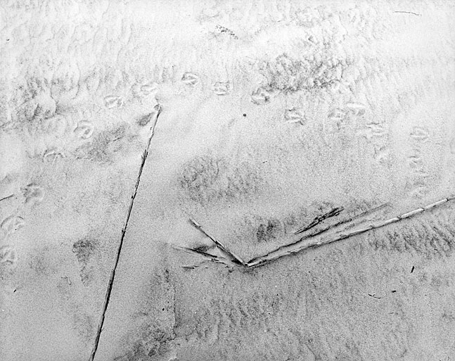 Tybee Sand