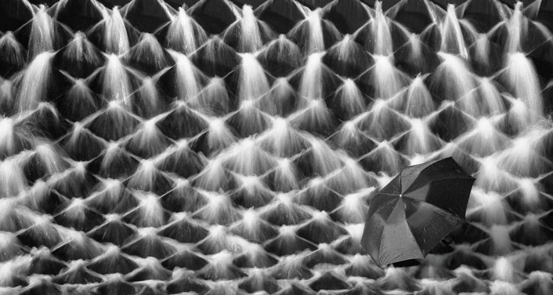 umbrella