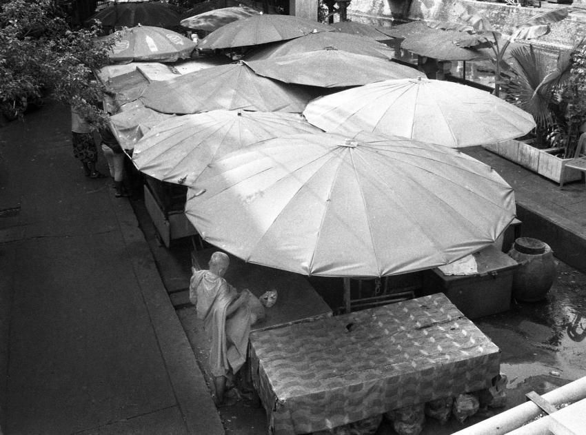 Umbrella_monk