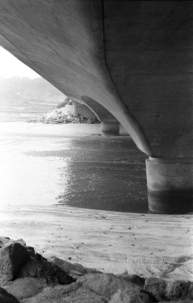 Under the Del Mar Bridge.