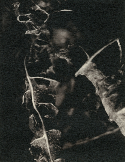 Under the Microscope 10x - image#47