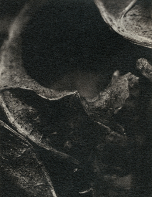 Under the Microscope 10x - image#48