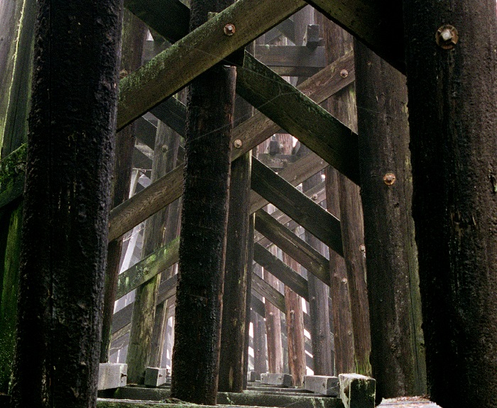 Under Tressel