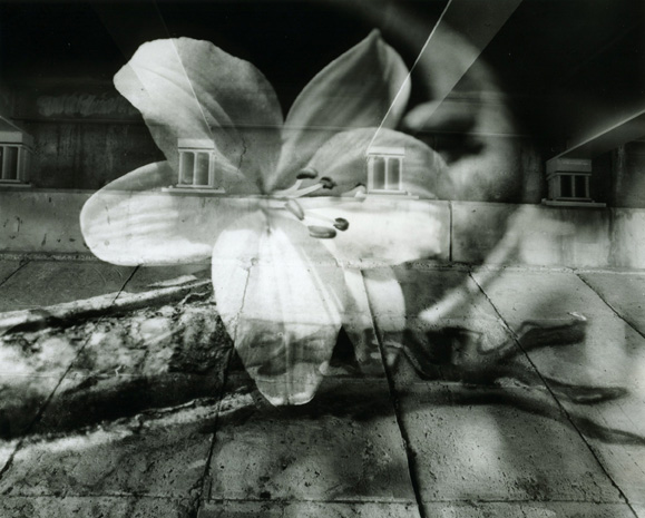 underpass and lily