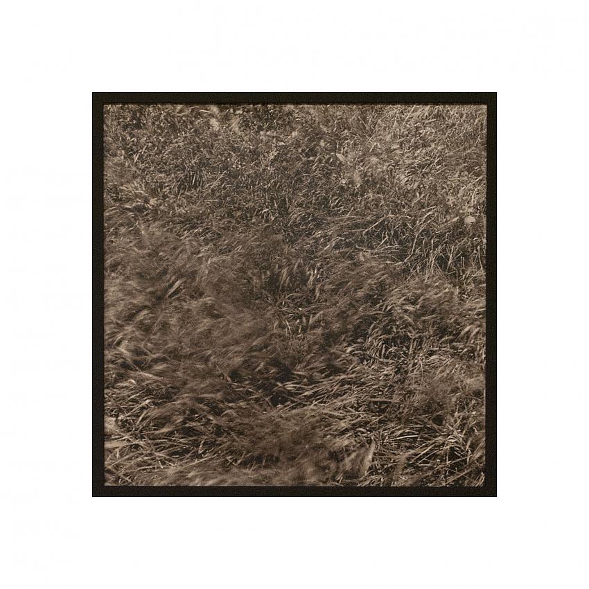 Unfamiliar Fields