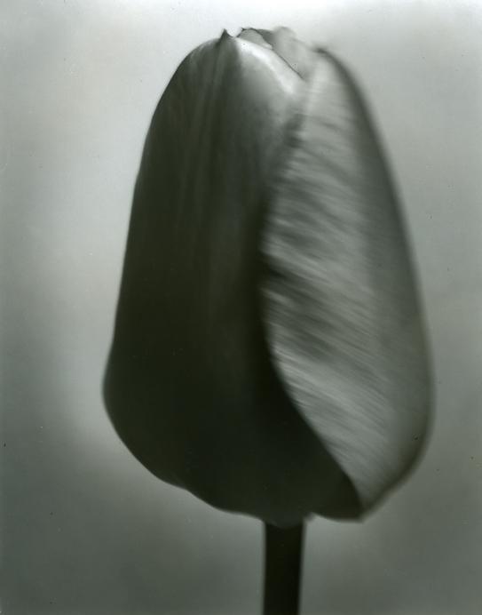 Unfolding