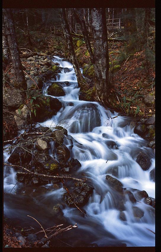 Unknown Creek Near Lake Cushman east side of Olympic National Park