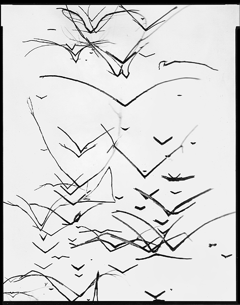 Untitled #1