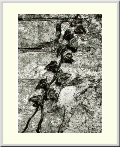 untitled 2006