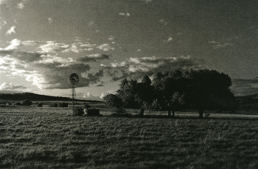 Untitled lith print #17