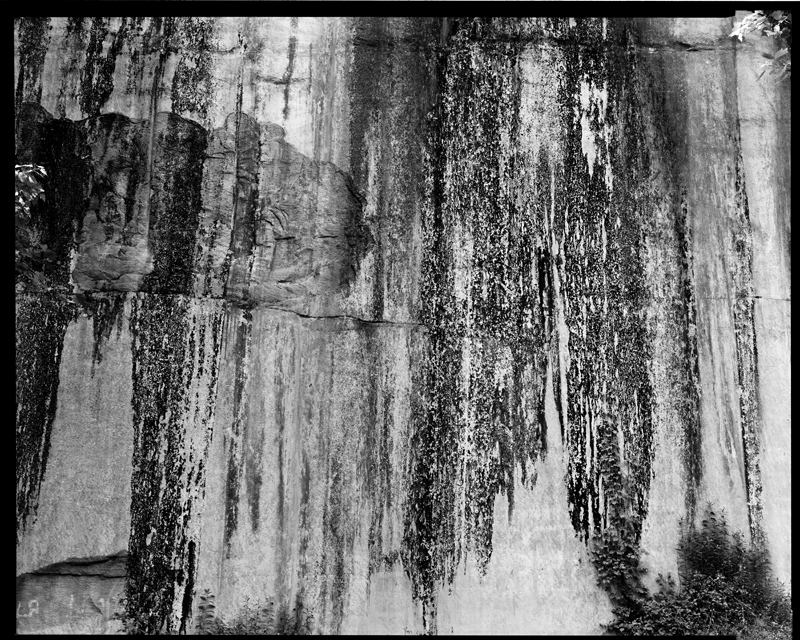 Untitled, Pisgah National Forest