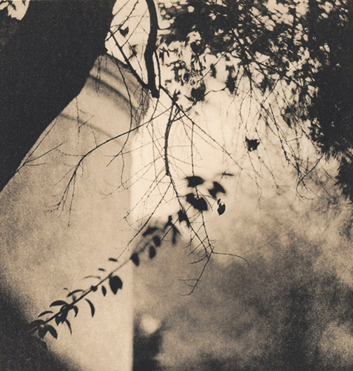 Untitled XI