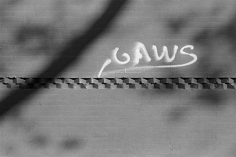Untitled