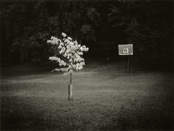 untitled