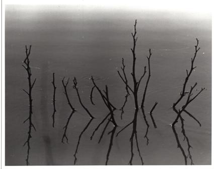 Untitled1