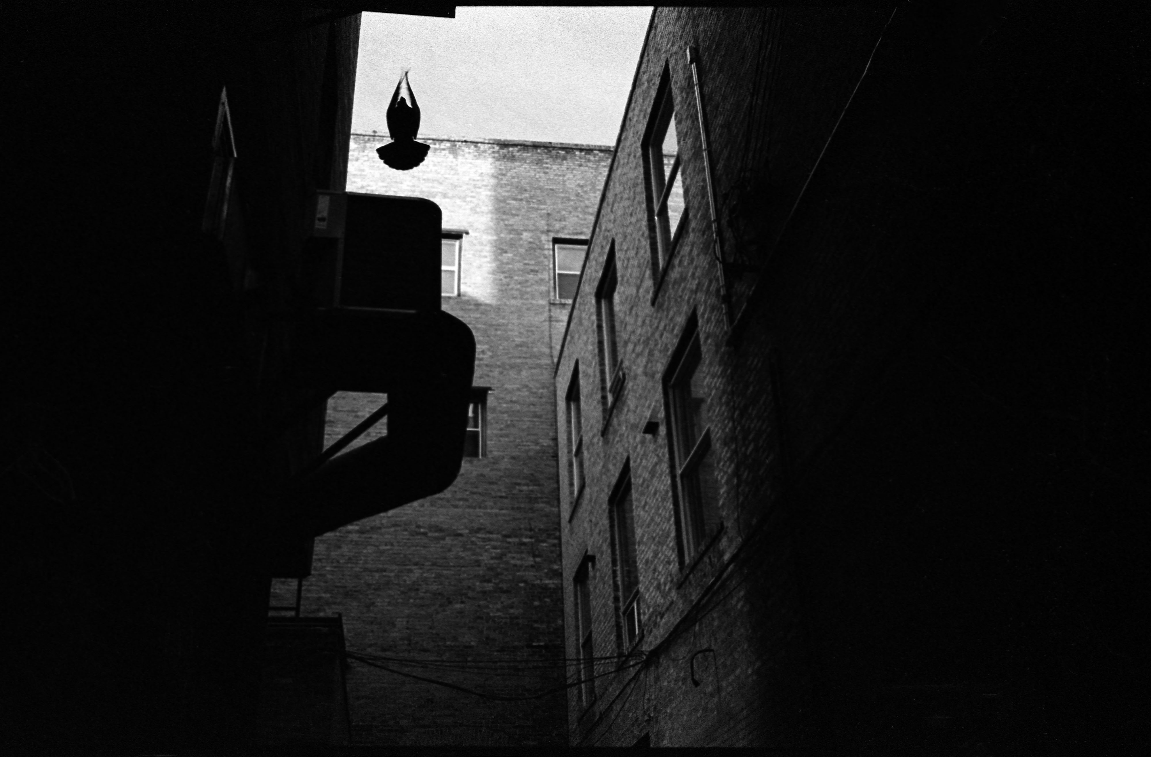 Up from the darkness