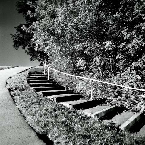 Up the hill