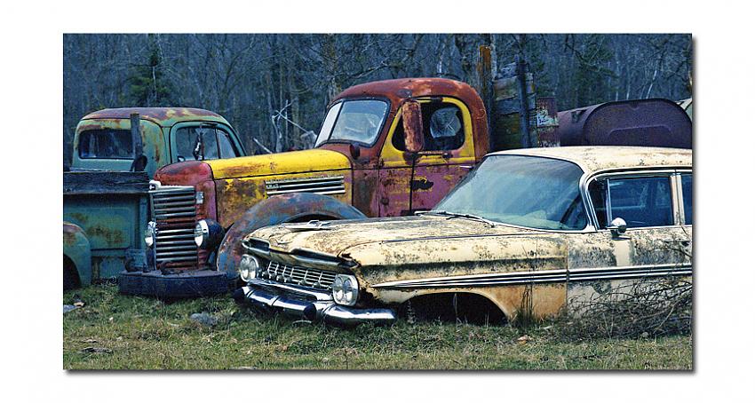 Up to the axles
