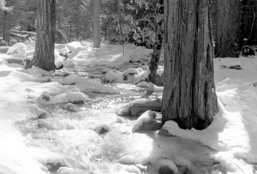 Upland Stream In Snow Resize Sharp