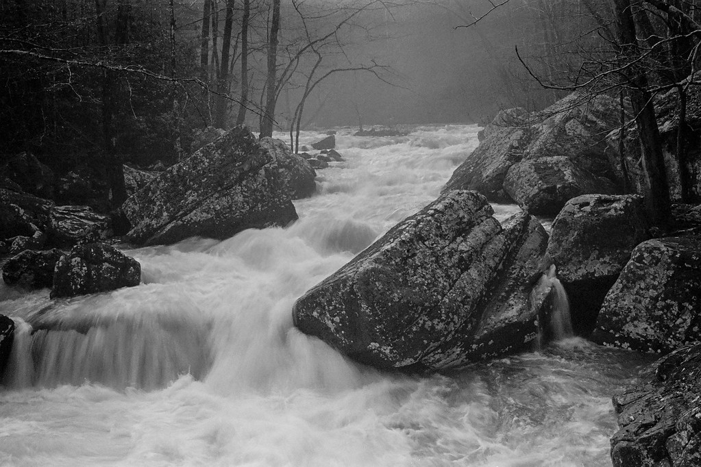 Upstream - head of Collins River