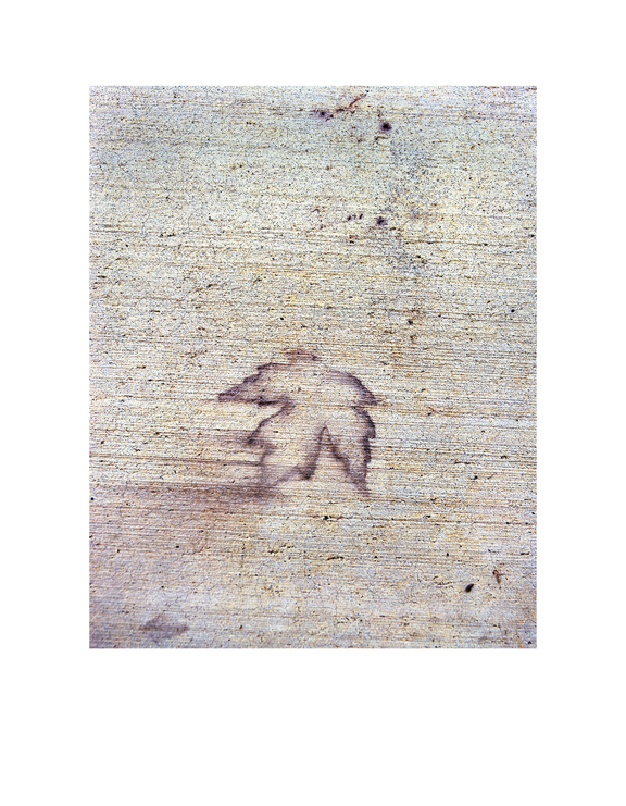 Urban Petroglyphs 2