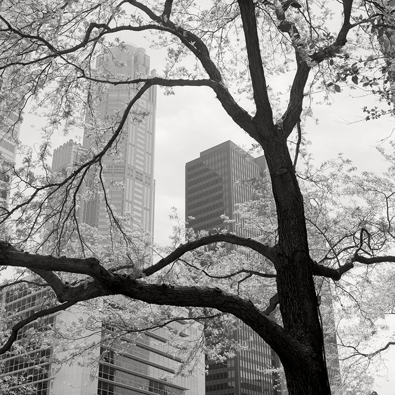 Urban Spring