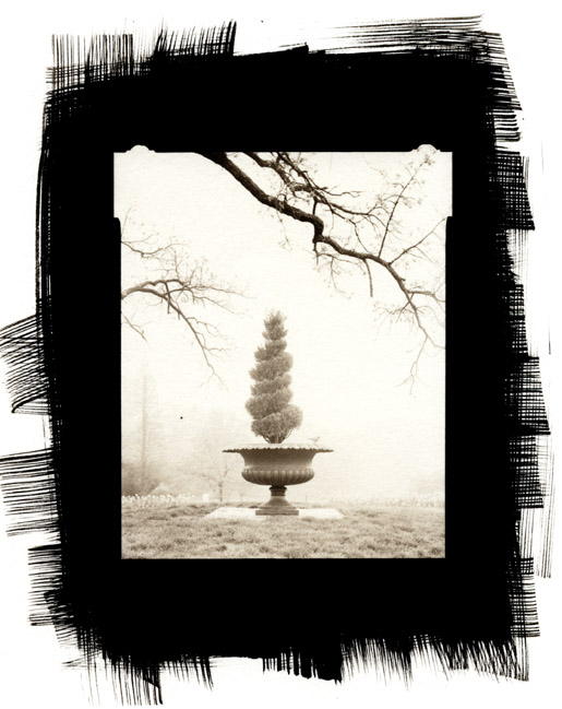 Urn and Robin in fog, Cylburn Arboretum