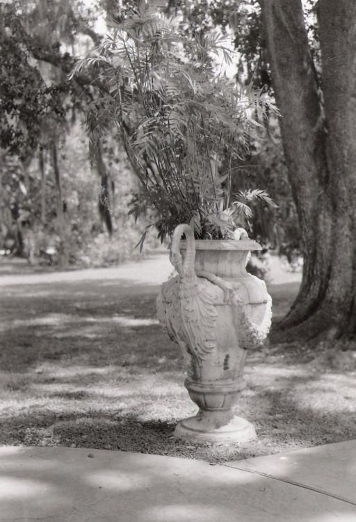 Urn