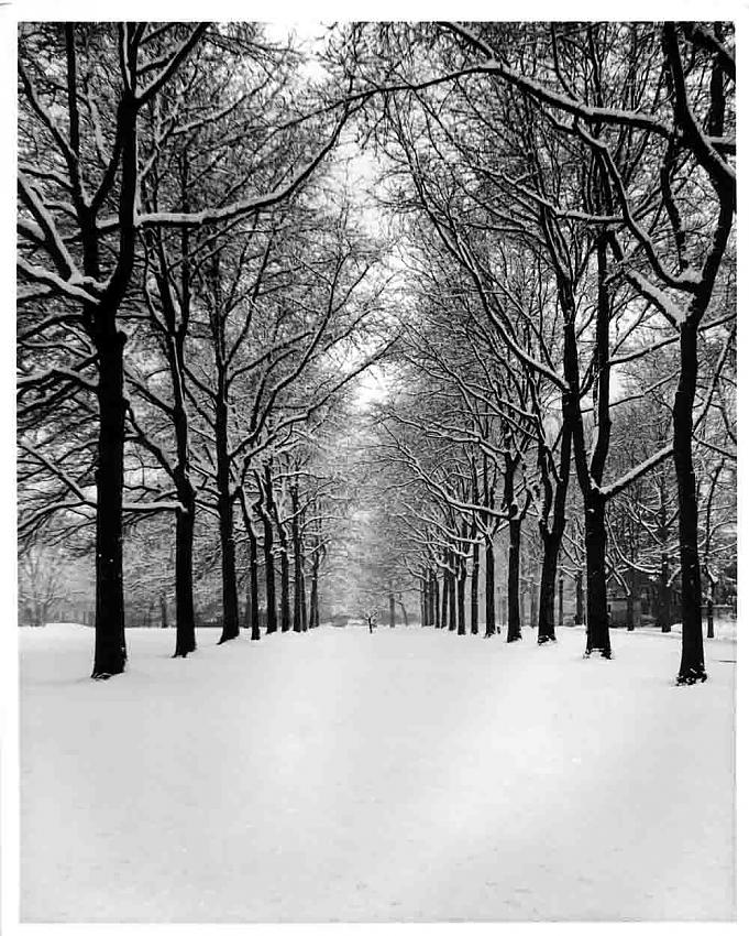 UVic in February