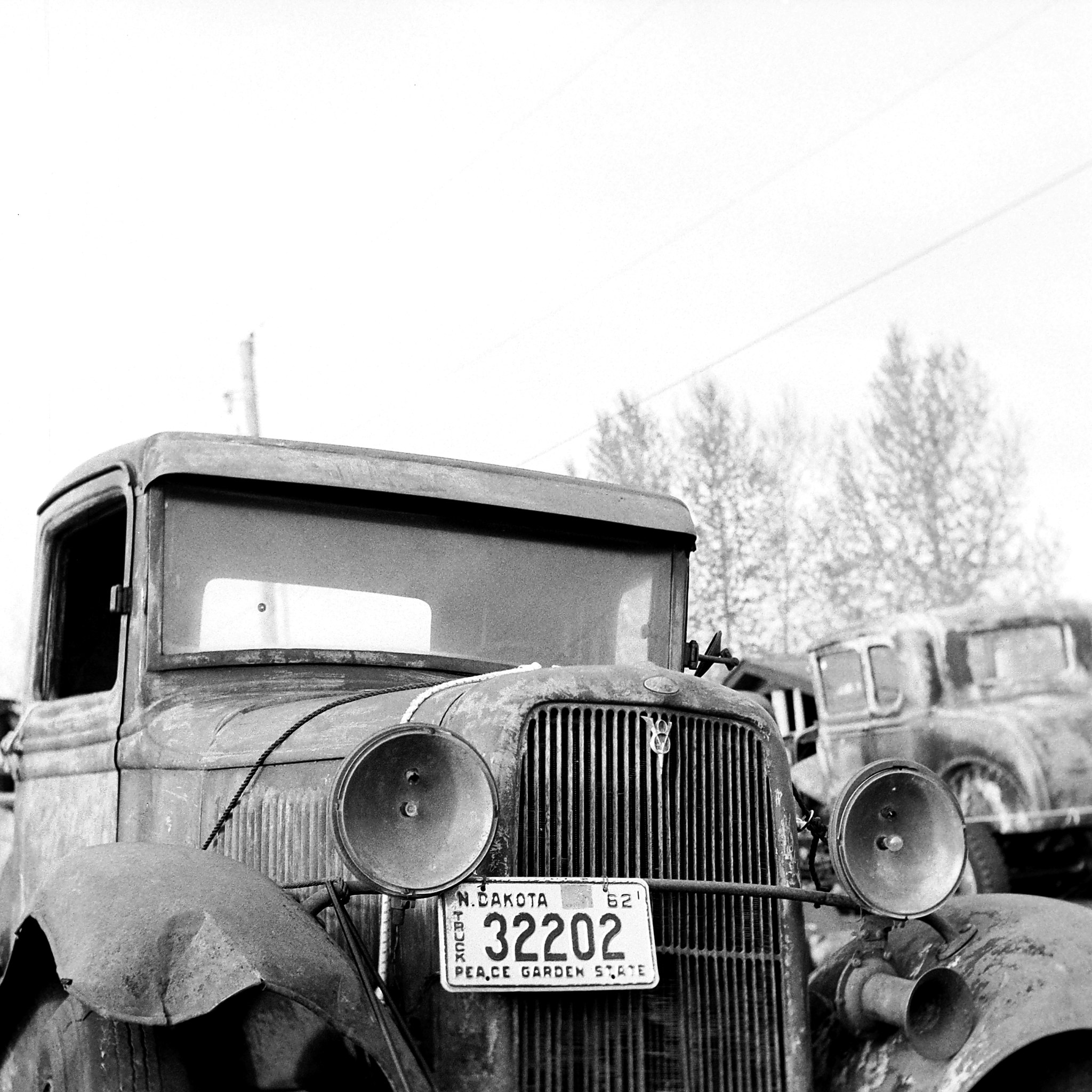 V8 Ford