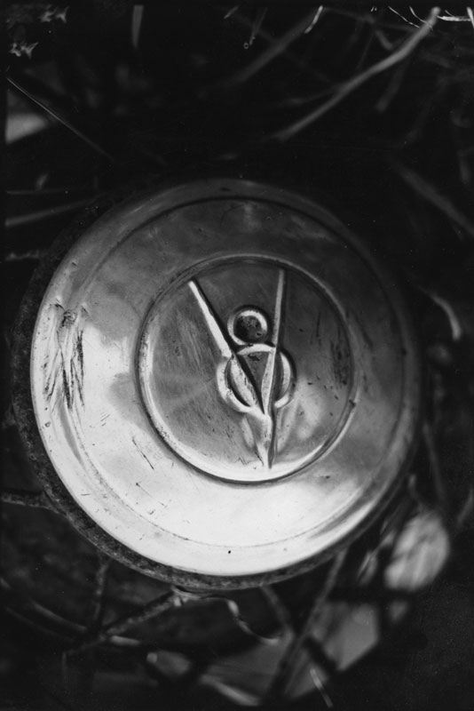 V8