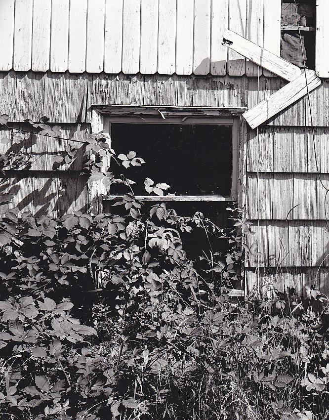 Vacant house.
