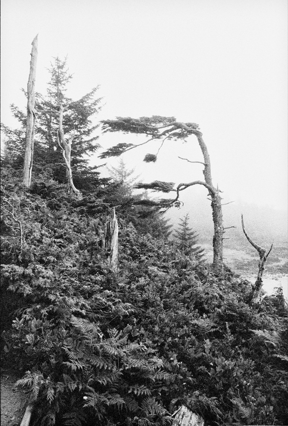 Vancouver Island