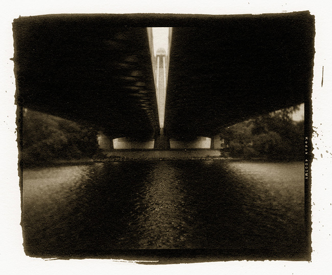 Vandyke Brown print