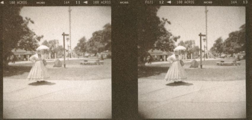 Vandyke Stereo Pair #1