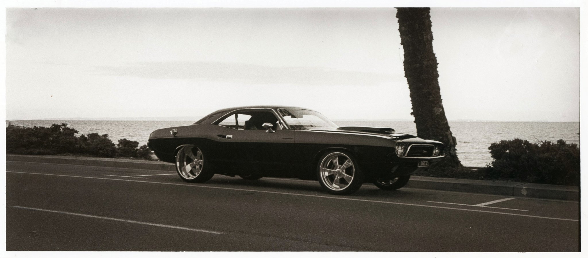 Vanishing Point