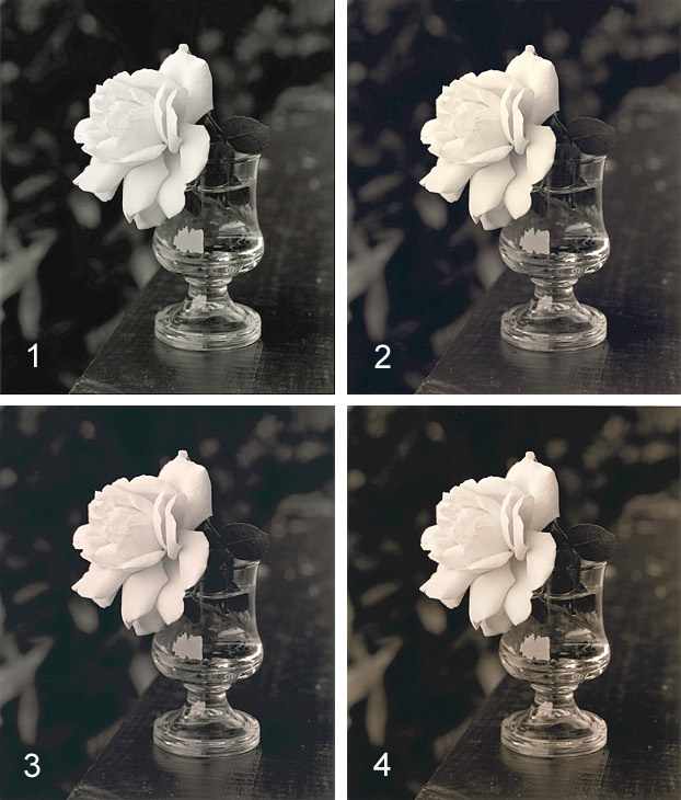 Variotone, Thiourea and Selenium