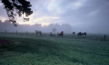 Various images from Ireland