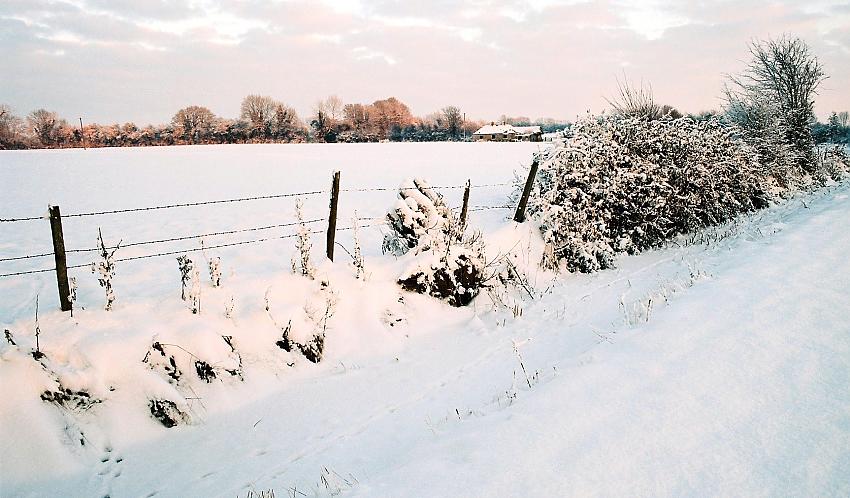 Various Irish Images